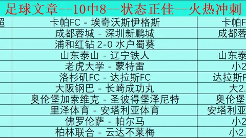 任翔宇因伤缺席2025年世界羽联总决赛报道——大众新闻·大众日报