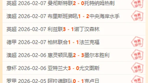 杨瀚森球风引约基奇联想，专家分析大乐透期号策略