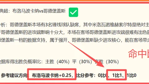 崔麒B体育：玉昆青睐，老板重视球员保障背后的故事