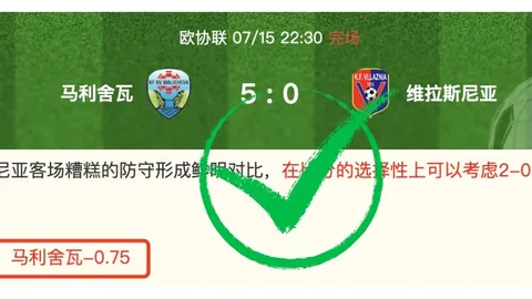 塞维利亚深度剖析B体育：伯恩茅斯射手于纳尔引关注