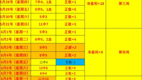 切尔西热身赛大胜皇家社会：佩德罗双响罗杰斯建功，全面解析赛事精彩瞬间